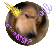 746176792