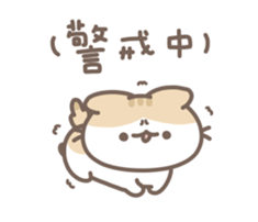 746180526