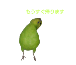 746187589