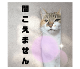 746203825