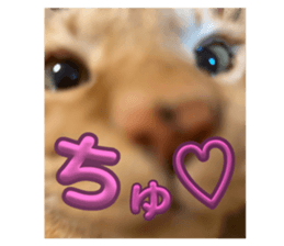 746239629