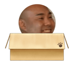 746239814