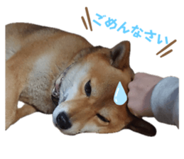 746241758