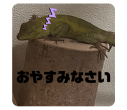 746244299
