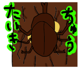 746249219