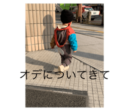 746253648