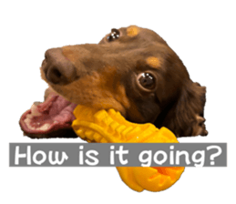 746255408