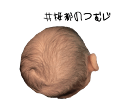 746255972