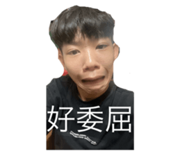 746275867