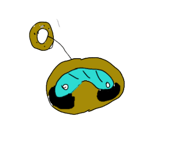 746276427