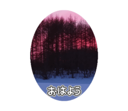 746280432
