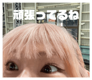 746308440