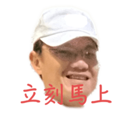 746331869