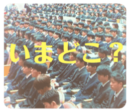 746334395