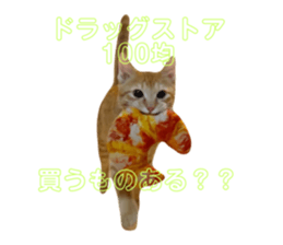 746343344