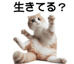 746363650