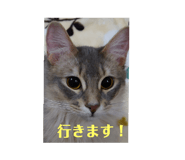 746364440