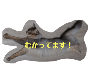 746364441