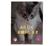746364446