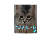 746364450