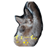 746364453