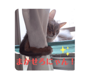 746364459