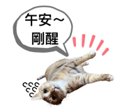 746366531