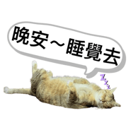 746366532
