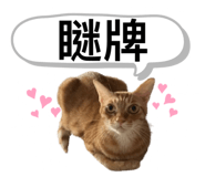 746366534