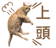 746366539