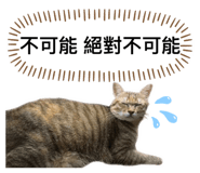 746366541