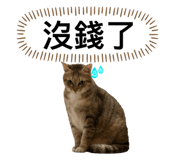 746366542