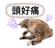 746366544
