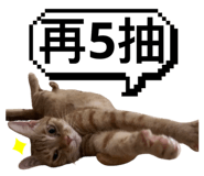 746366548