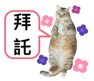 746366551