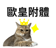 746366558