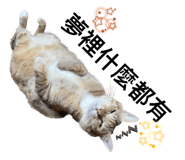 746366561