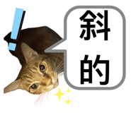 746366563
