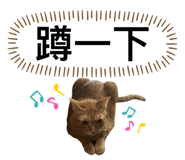 746366564