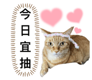 746366568