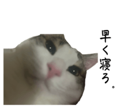 746368829