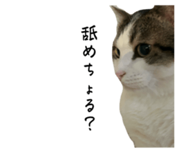 746368830