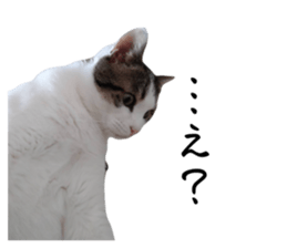 746368832