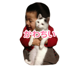 746375550