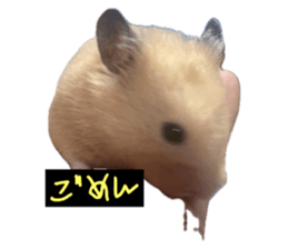 746375748