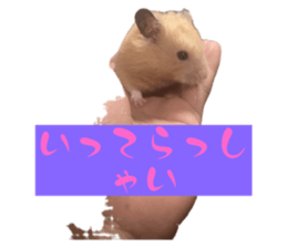 746375751