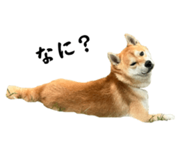 746381424