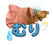 746383835