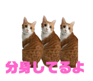 746383953
