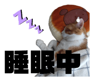 746383956